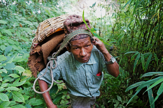 Maintaining Sacred Honey Traditions in a Changing Nepal